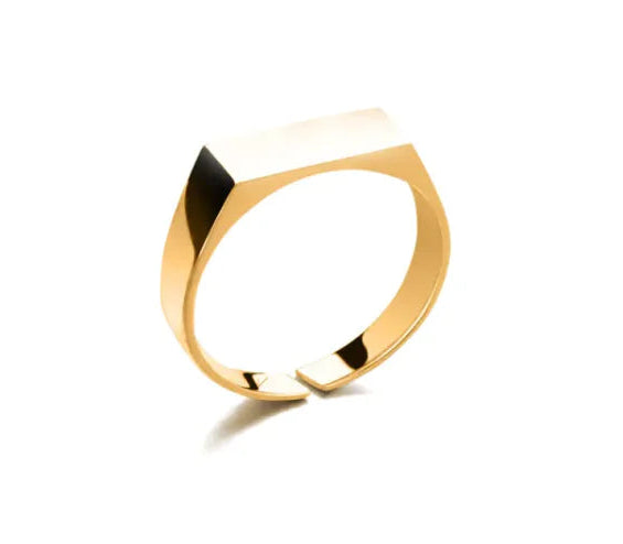 Stainless Steel Ring